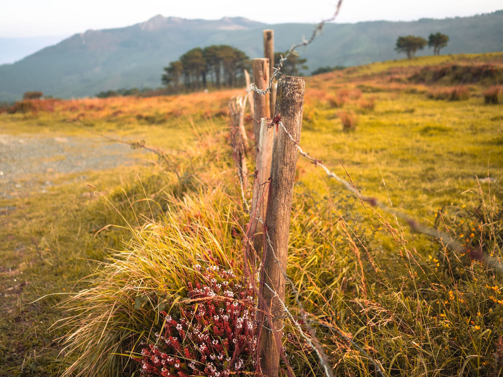 Vixía da Herbeira 2