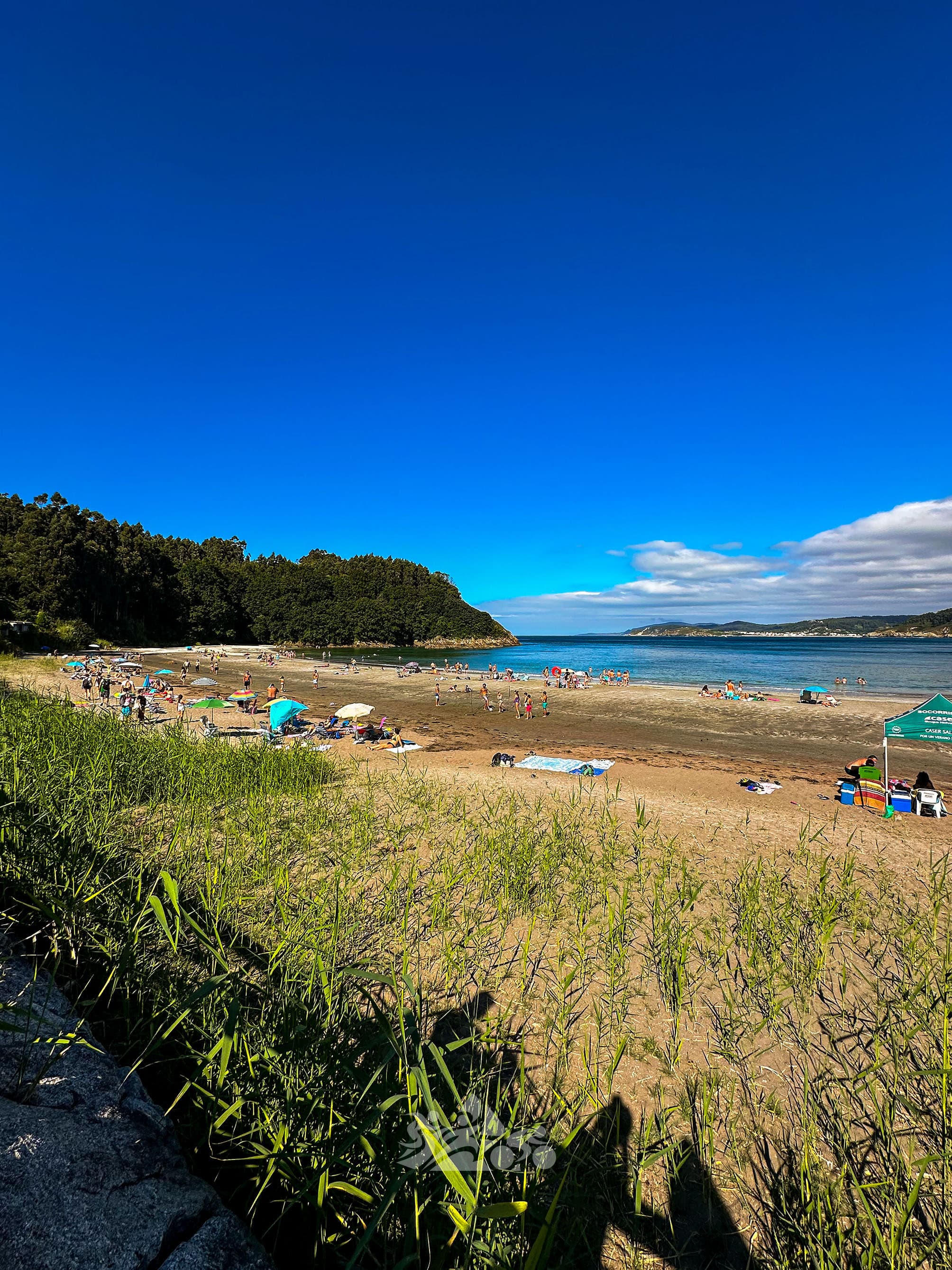 Playa de Fornos 2